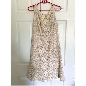 White House Black Market Cream Lace Flare Dress - Size 8